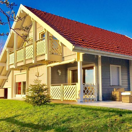 Chalet Le Flocon Bleu - Mauselaine Avec Vue Sur Le Lac De Gerardmer Ngoại thất bức ảnh
