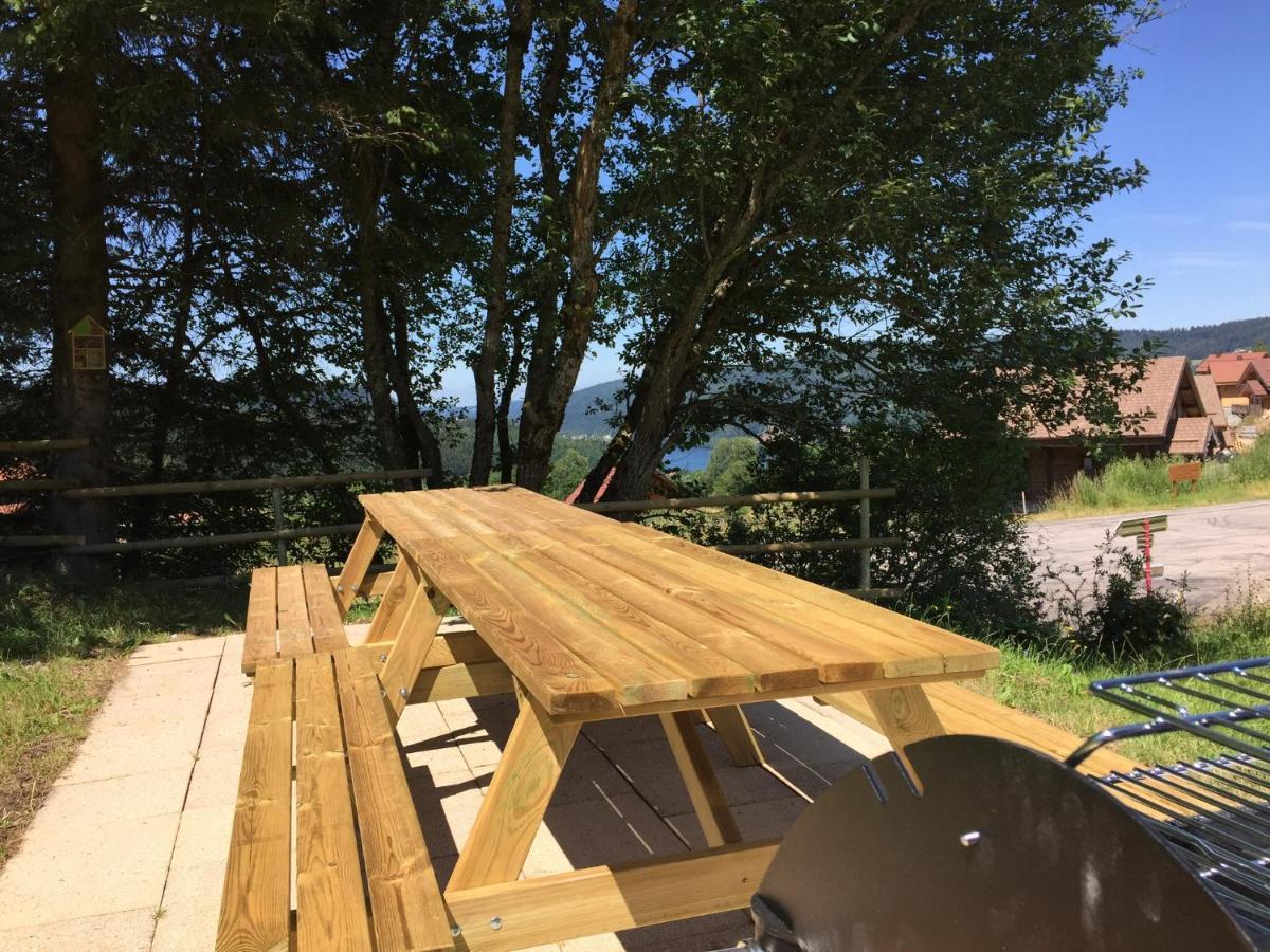Chalet Le Flocon Bleu - Mauselaine Avec Vue Sur Le Lac De Gerardmer Ngoại thất bức ảnh
