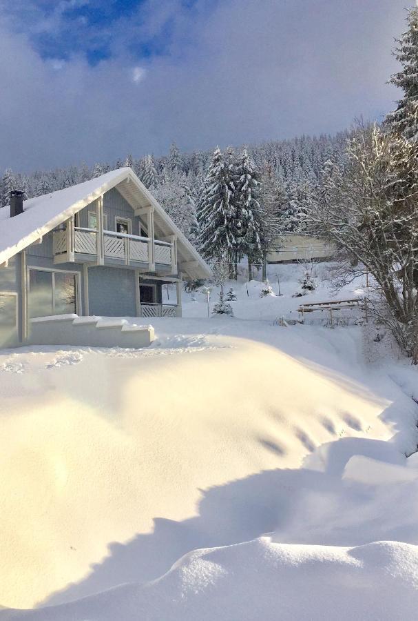 Chalet Le Flocon Bleu - Mauselaine Avec Vue Sur Le Lac De Gerardmer Ngoại thất bức ảnh