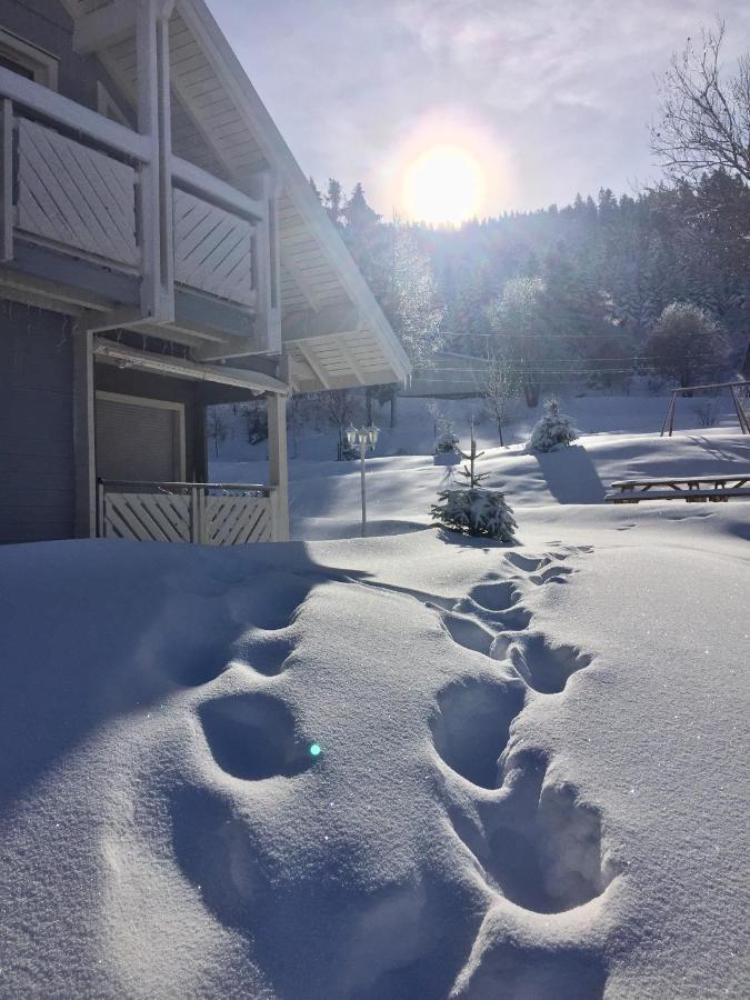 Chalet Le Flocon Bleu - Mauselaine Avec Vue Sur Le Lac De Gerardmer Ngoại thất bức ảnh