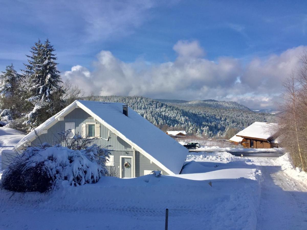 Chalet Le Flocon Bleu - Mauselaine Avec Vue Sur Le Lac De Gerardmer Ngoại thất bức ảnh