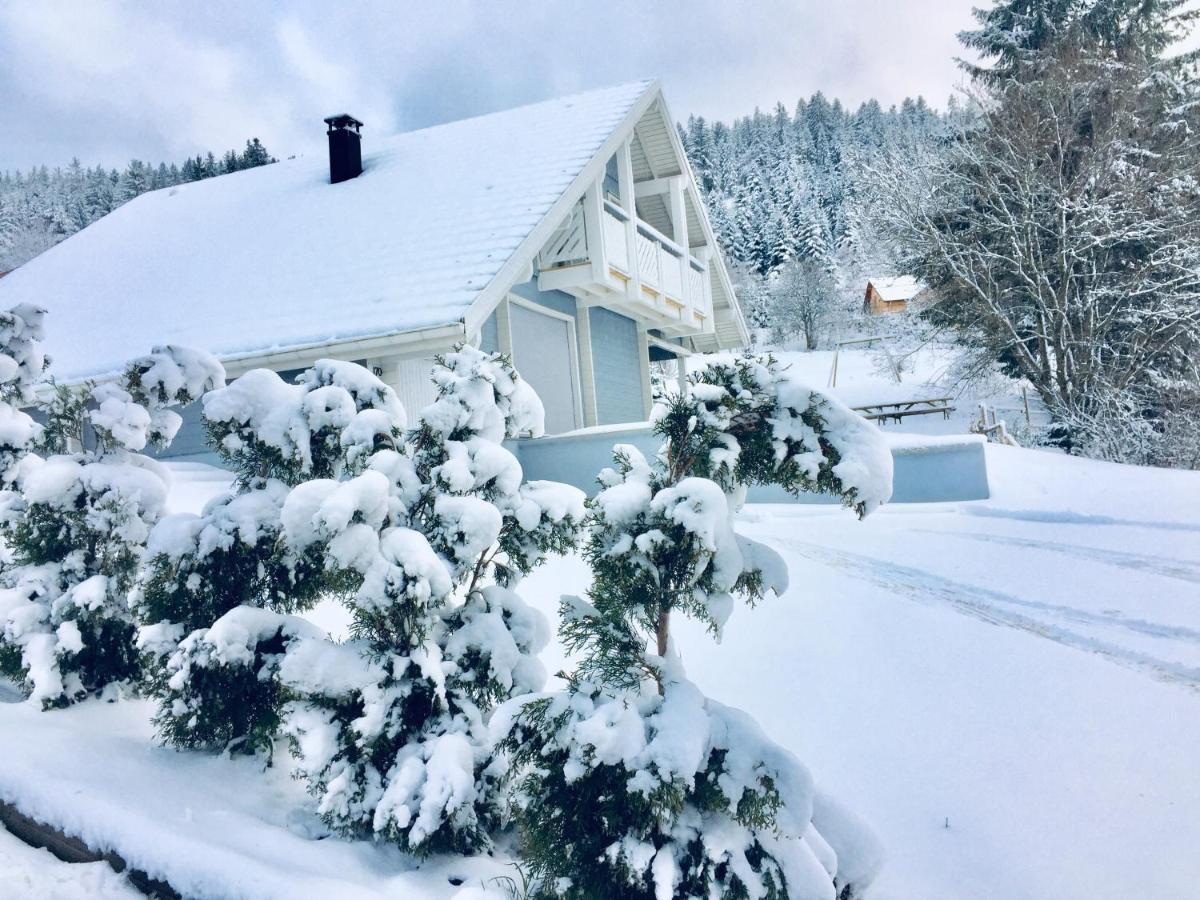 Chalet Le Flocon Bleu - Mauselaine Avec Vue Sur Le Lac De Gerardmer Ngoại thất bức ảnh