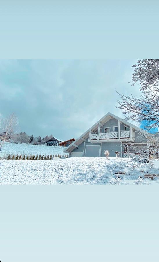 Chalet Le Flocon Bleu - Mauselaine Avec Vue Sur Le Lac De Gerardmer Ngoại thất bức ảnh